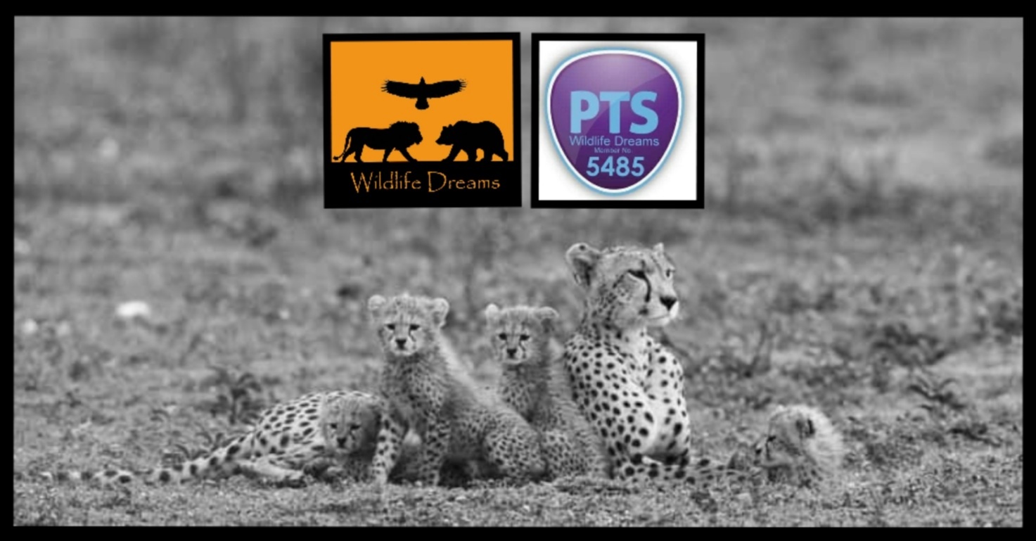tourhub | Wildlife Dreams | Wildlife Dreams Tailor- Made Safaris 