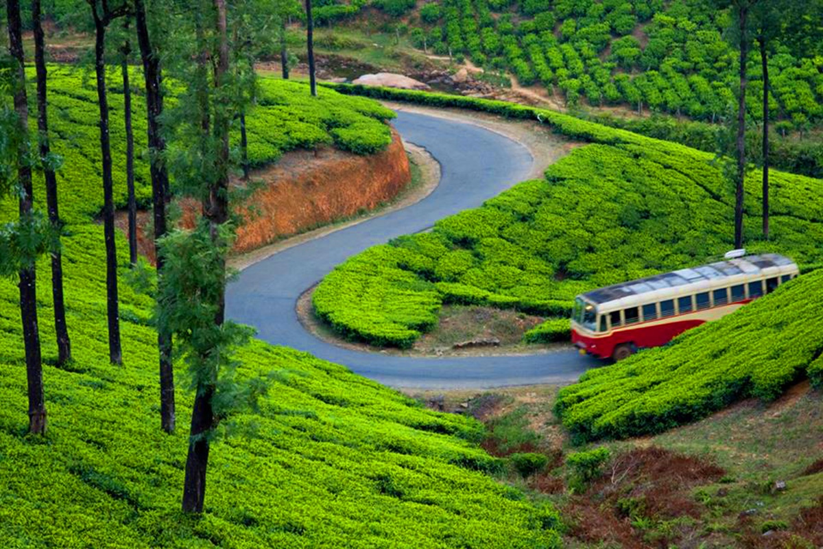 tourhub | Panda Experiences | Kerala Hill Stations Tour 