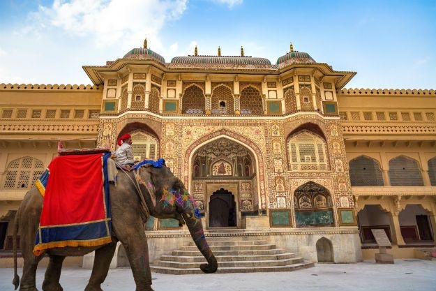 tourhub | Offbeat India Tours | Taj Mahal Tour with Tiger Safari 