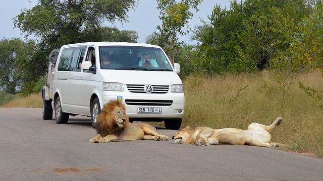 tourhub | Timeline Travel | South Africa Holiday Johannesburg, Kruger National Park & Cape Town 