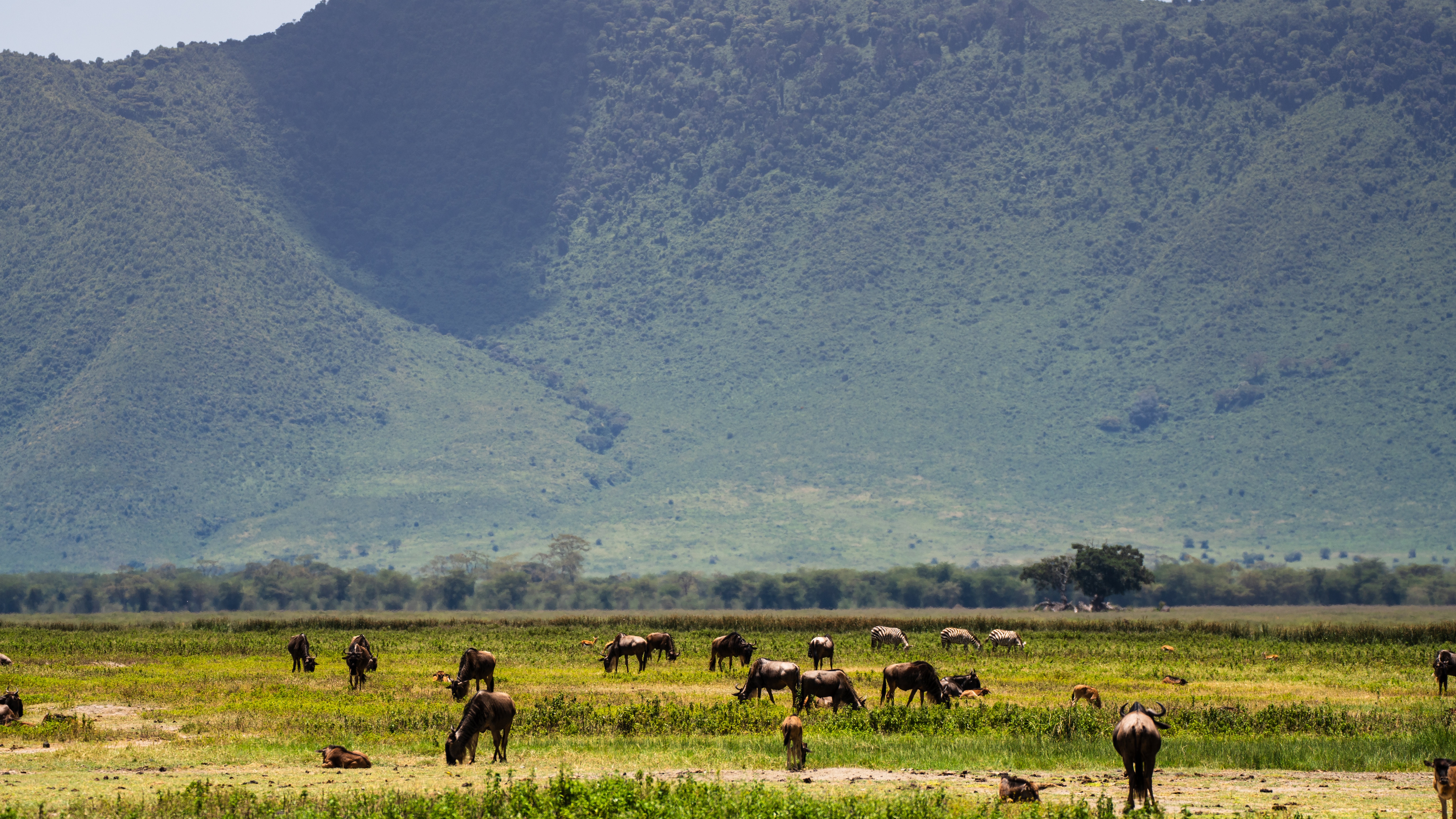 tourhub | Beach and Safari Holidays | Savannah to Crater: Serengeti and Ngorongoro 