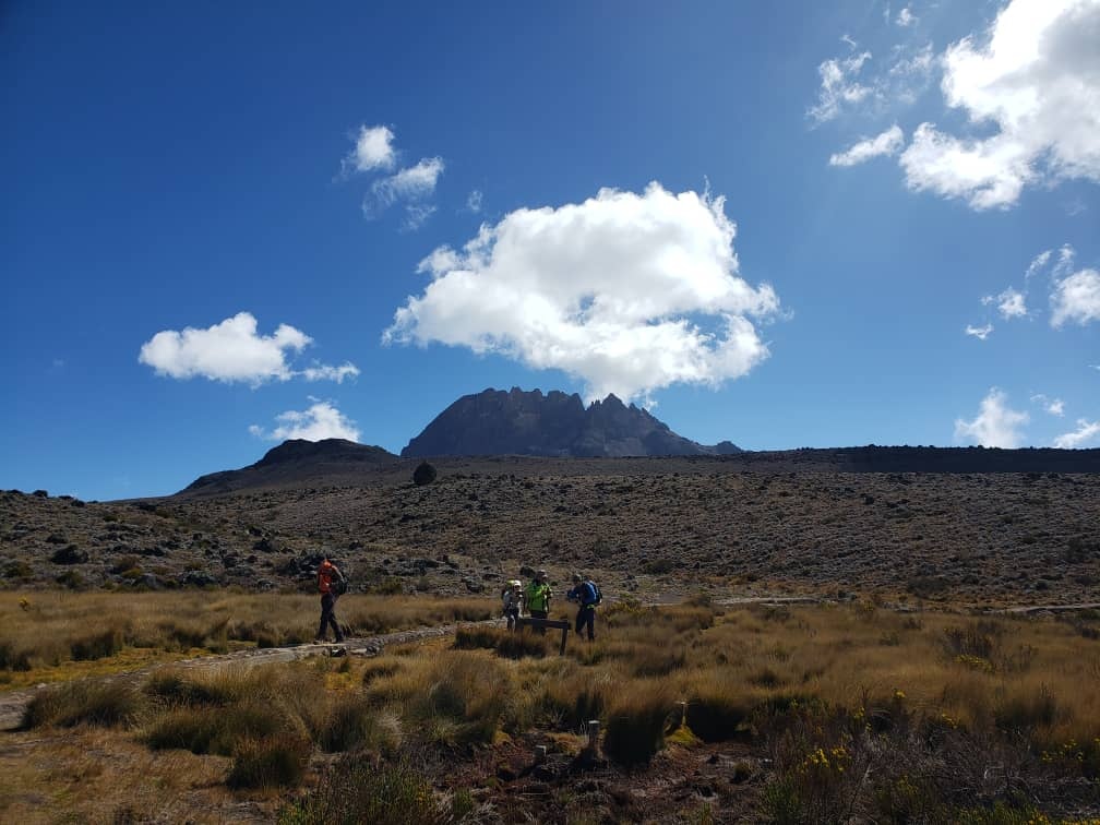 tourhub | Horizon Seeker Adventure | 11 days Kilimanjaro Climbing Northern Circuit route 