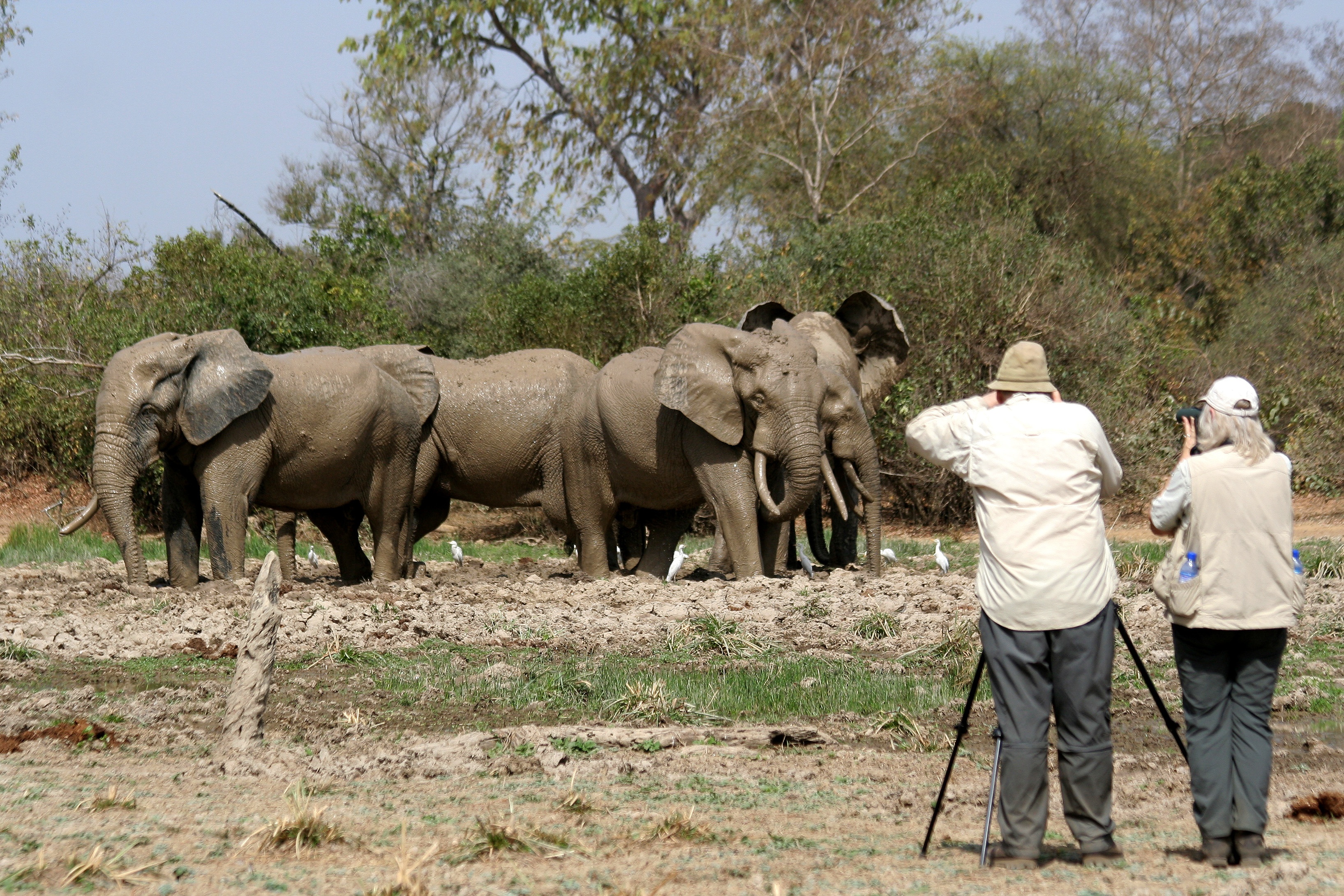 tourhub | Ashanti African Tours | Southern Ghana Eco Tour 