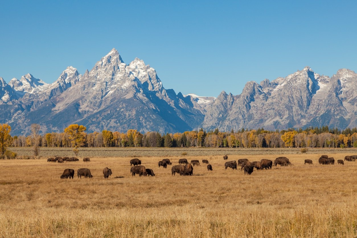 tourhub | Tours of Distinction | National Parks of America's West 