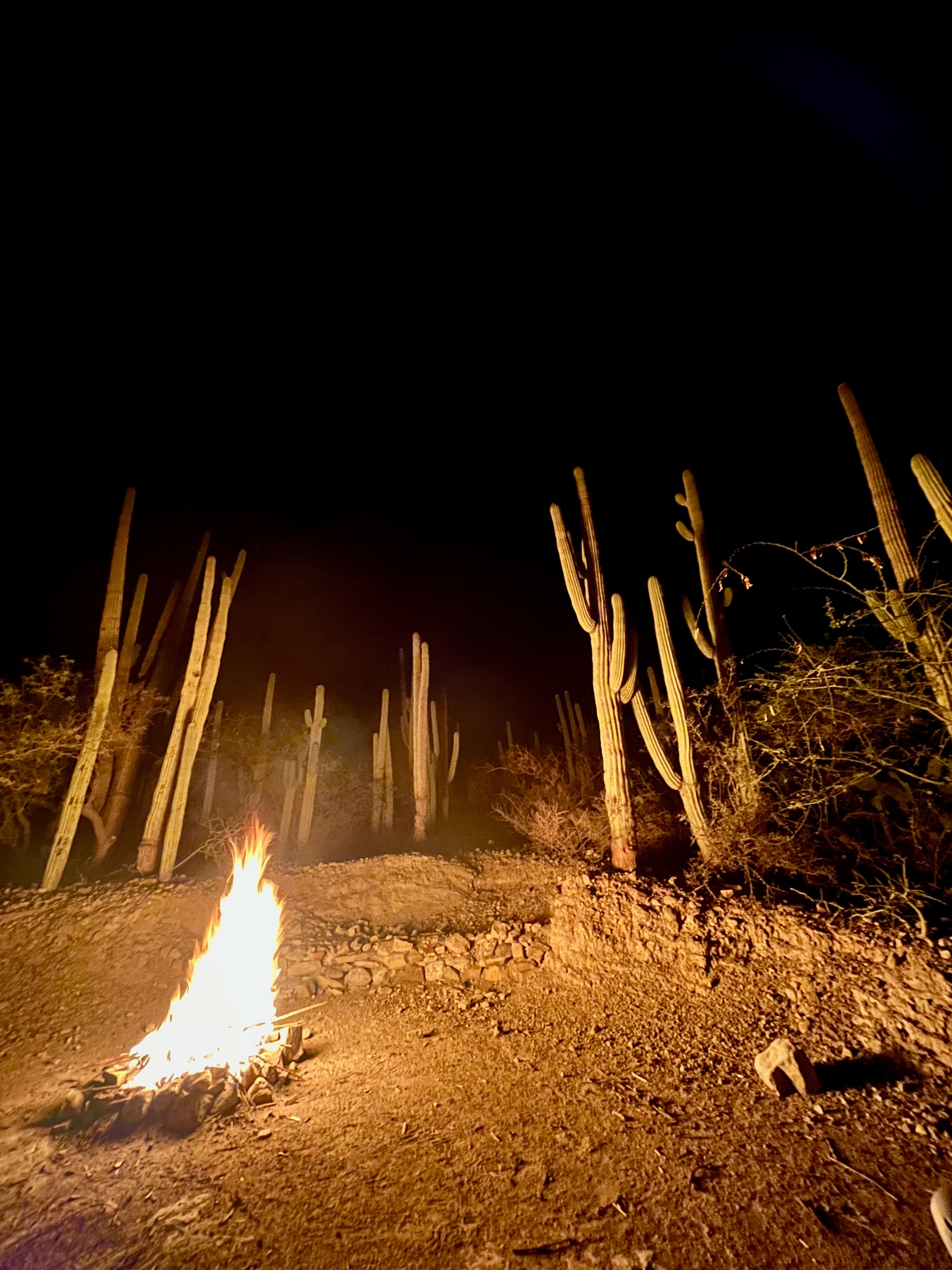 tourhub | Lupita Overland | Day of the Dead at Oaxaca 