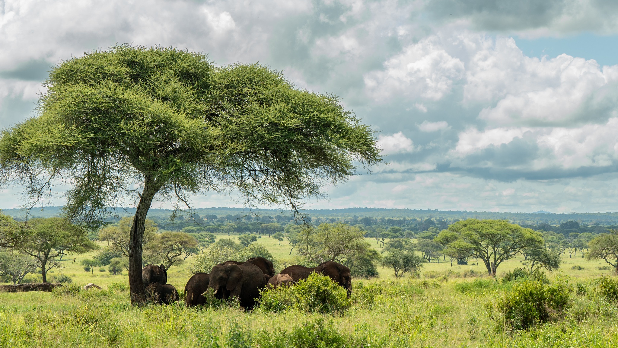 tourhub | Beach and Safari Holidays | 4 Days Safari Northern Parks 