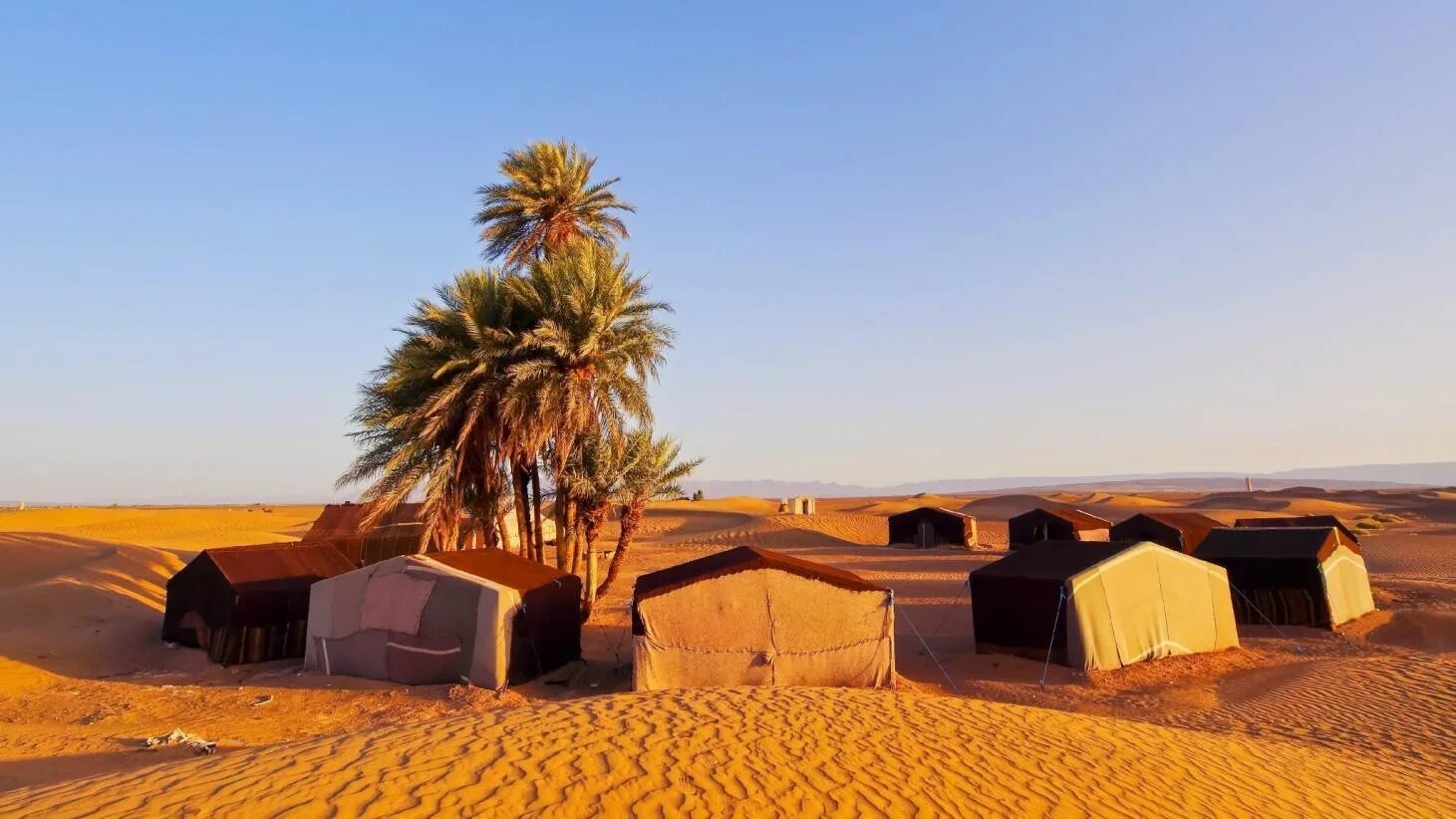 tourhub | Morocco Global Adventures | From Marrakech: 2 day group trip to Zagora Desert 