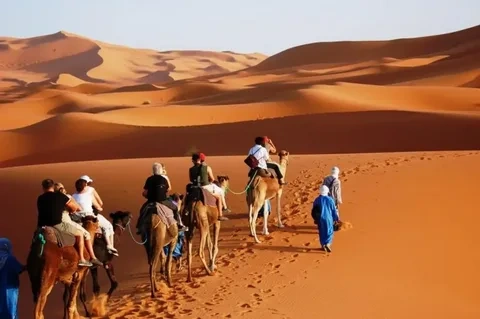 tourhub | Morocco Global Adventures | From Marrakech: 3 day trip to Fes via Merzouga Desert & Camel trek 