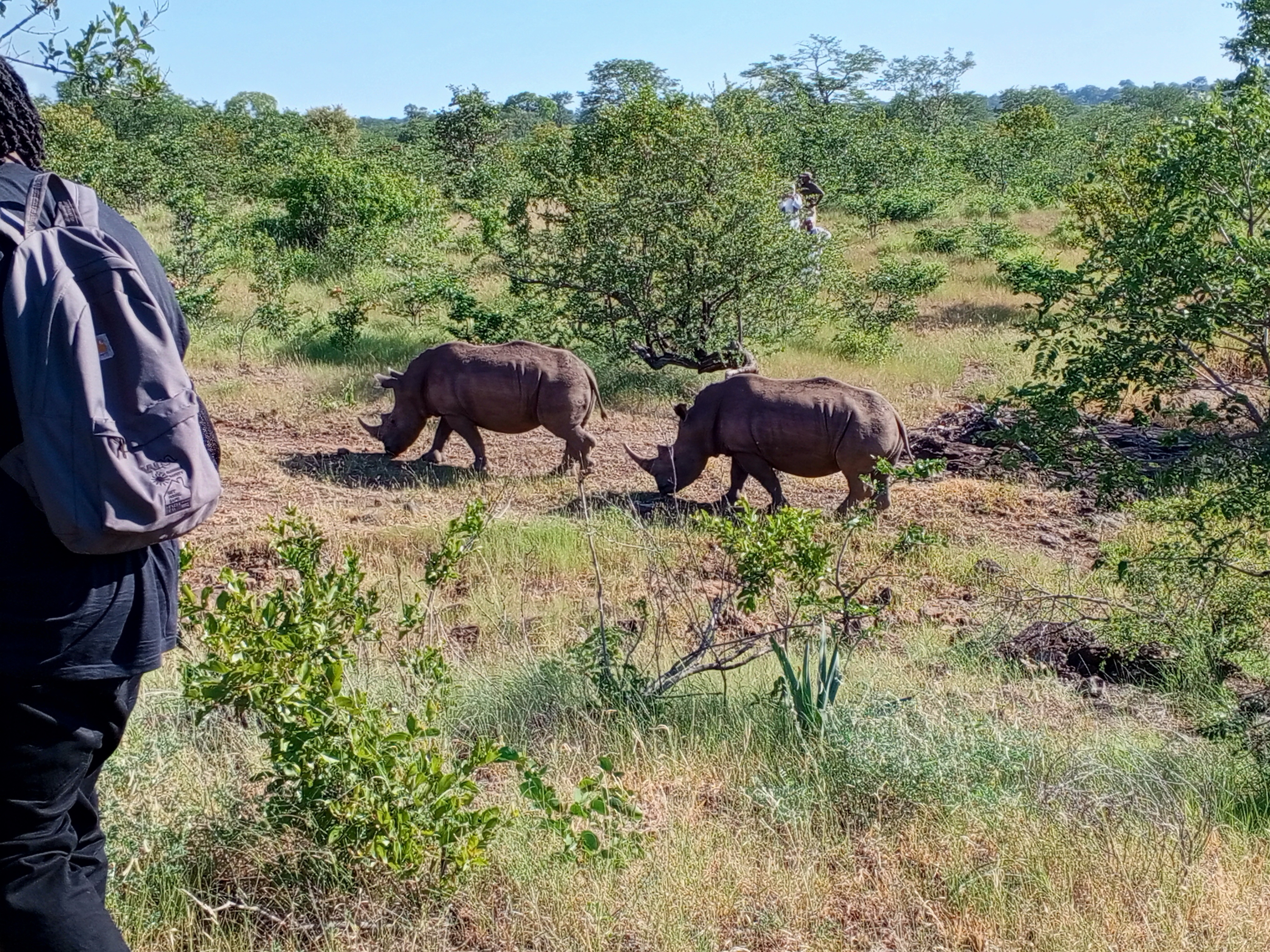 tourhub | Livingstone Lourie Safari | Victoria Falls, Livingstone & Chobe 