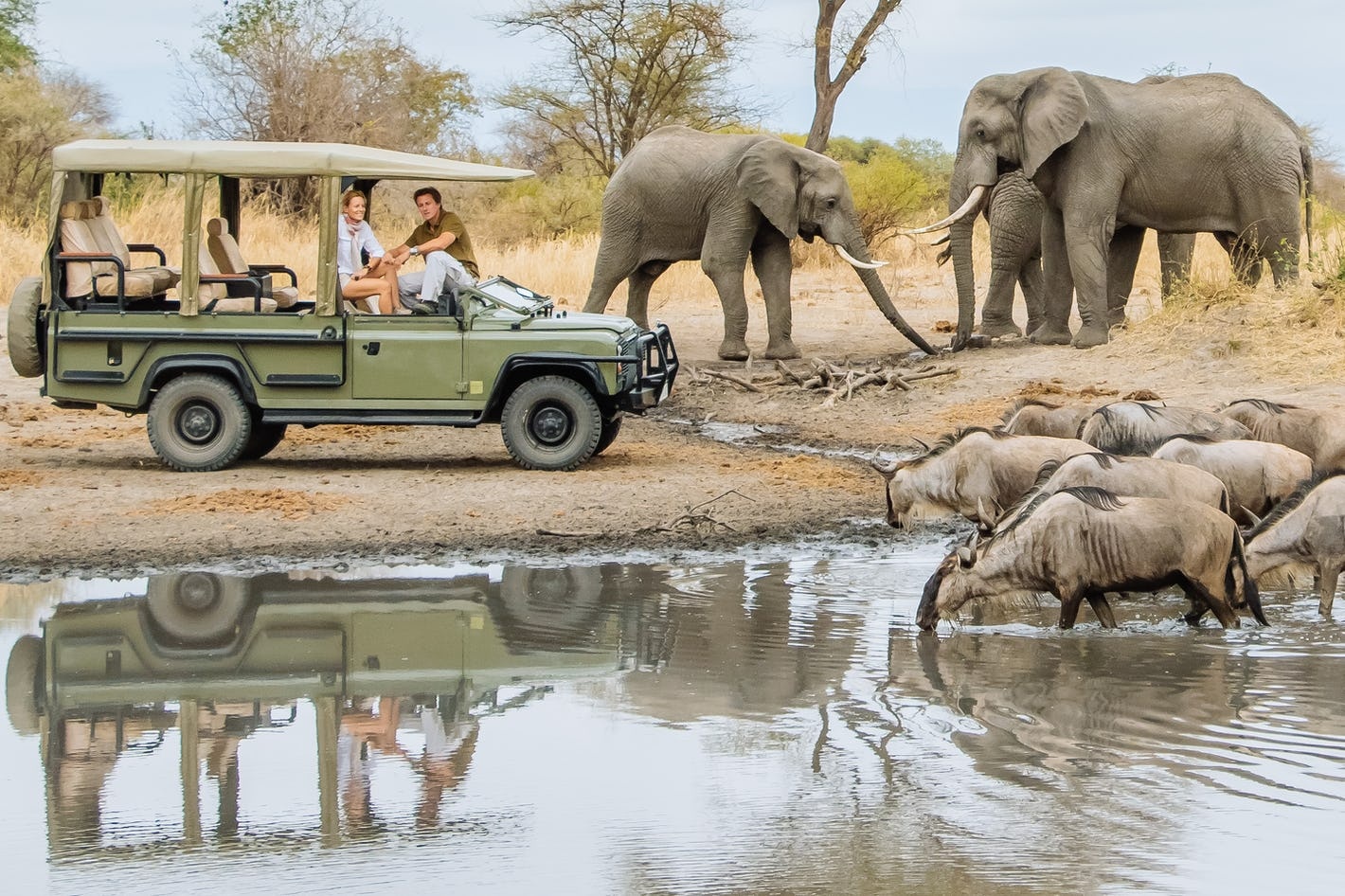 tourhub | G-family Adventures Safaris | Day trip in mikumi national park from Zanzibar 