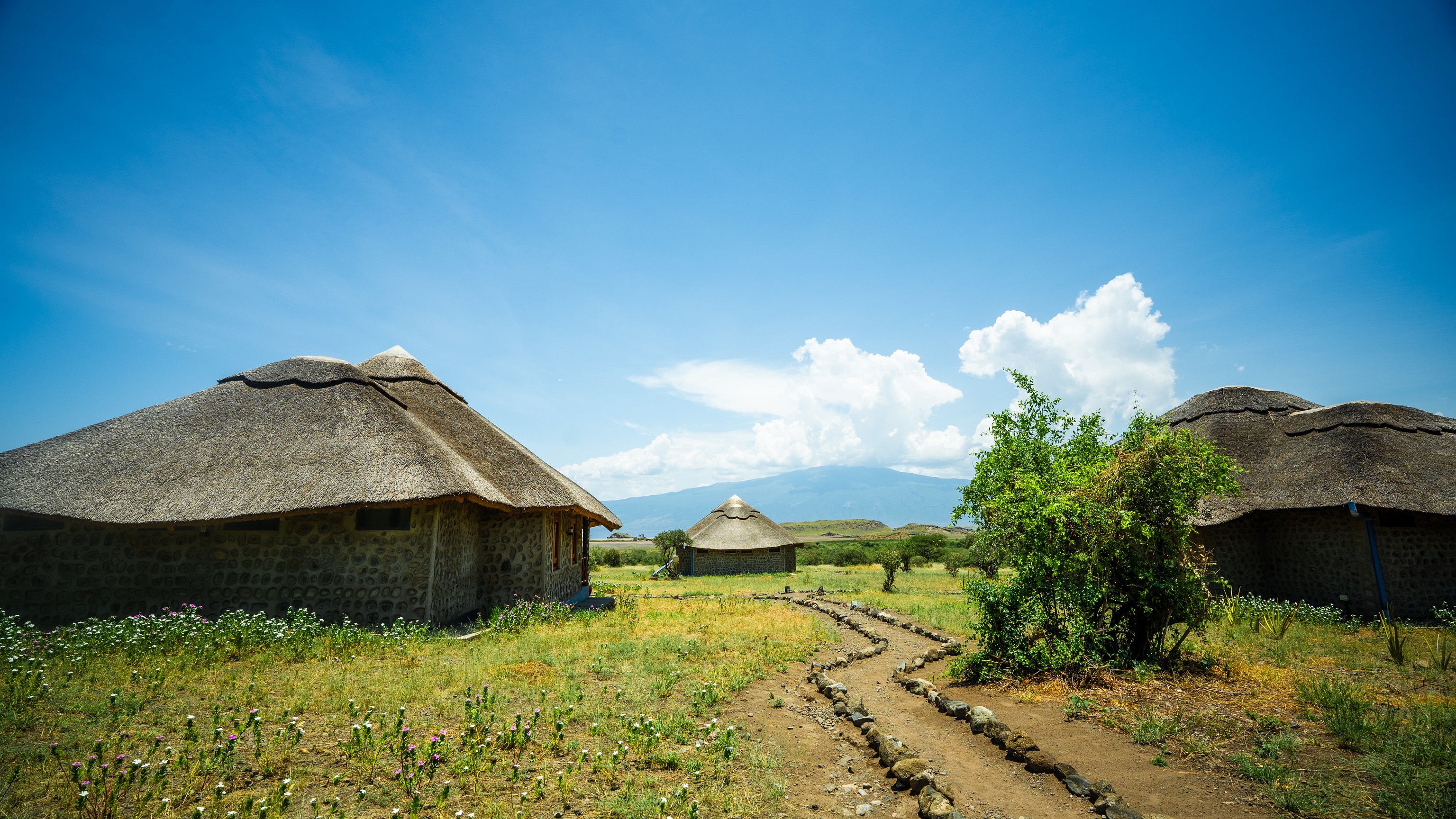 tourhub | Beach and Safari Holidays | Culture and Wildlife Fusion: African Jeep Safari in Tanzania 