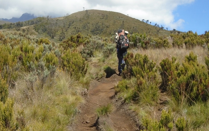 5 Days Marangu Route Kilimanjaro Hiking