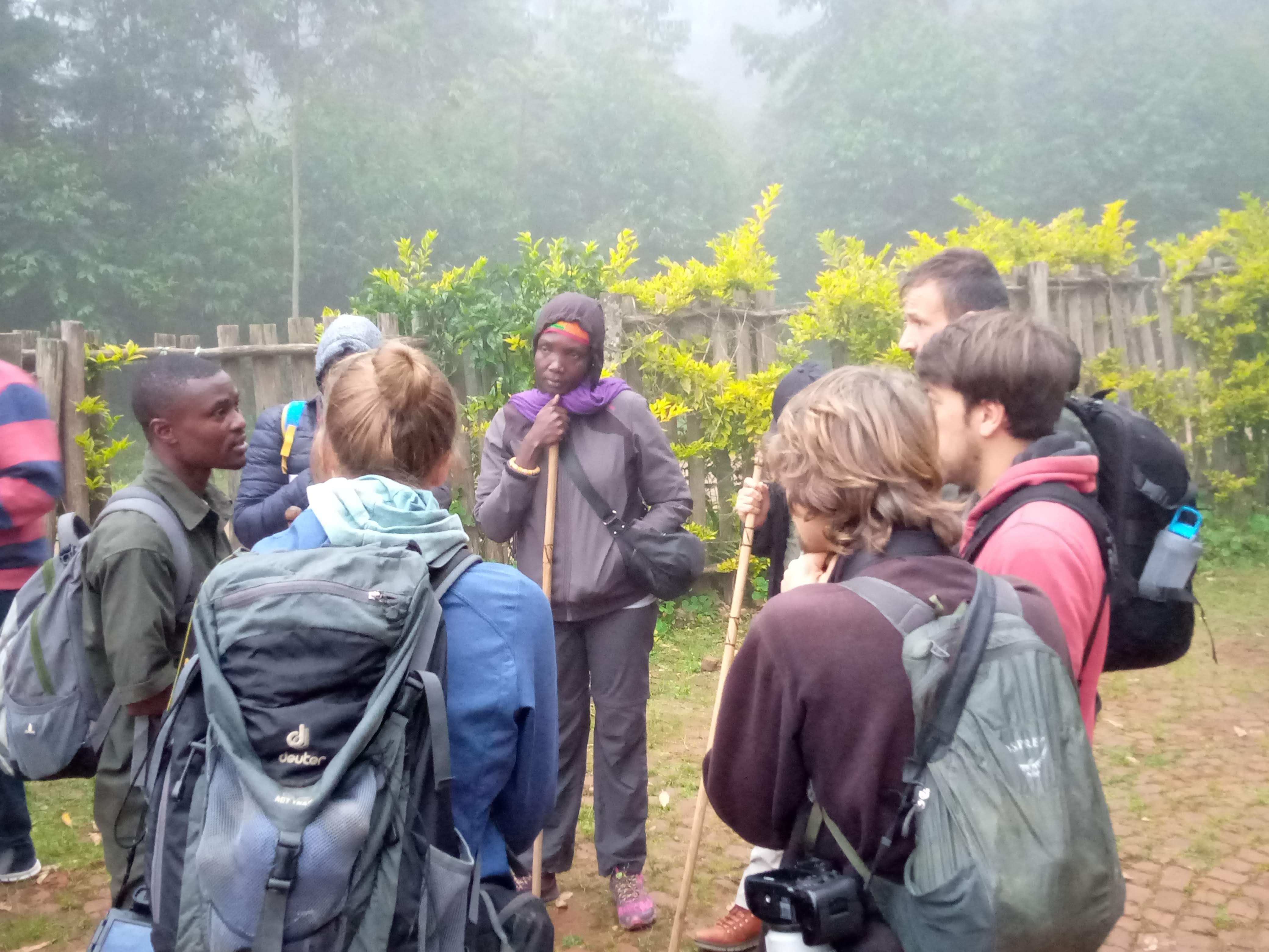 Rwanda gorilla trekking Tour