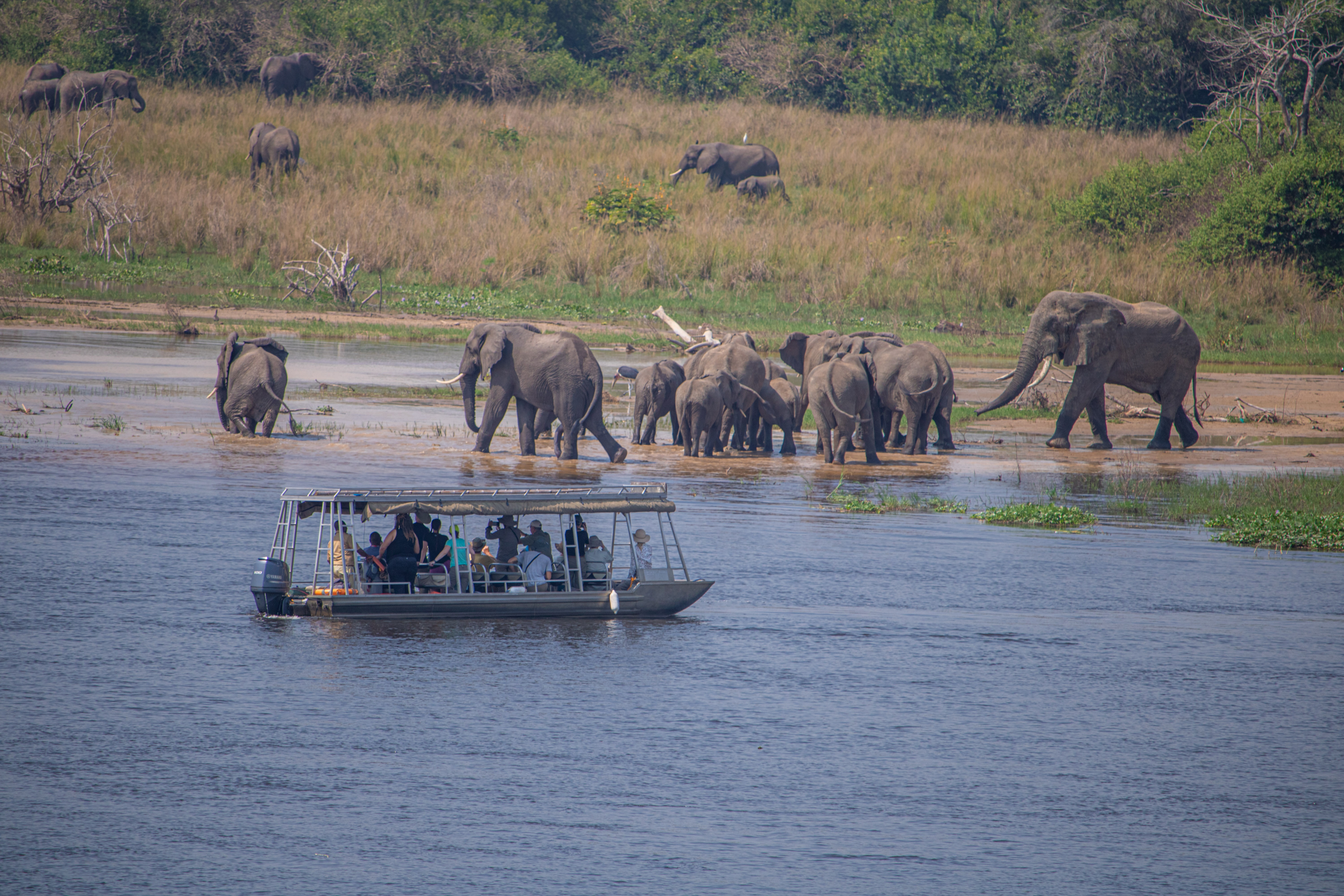 tourhub | Avens Travel World (ATW Holidays Africa) | Adventure and Wildlife Safari 