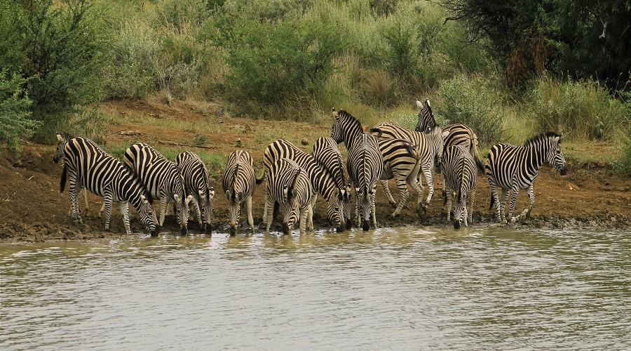 3 days Tanzania safari package