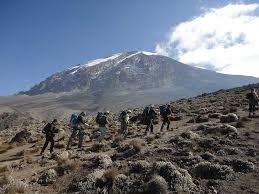 tourhub | Eddy tours and safaris | 7 Days Kilimanjaro climb via Umbwe Route. 