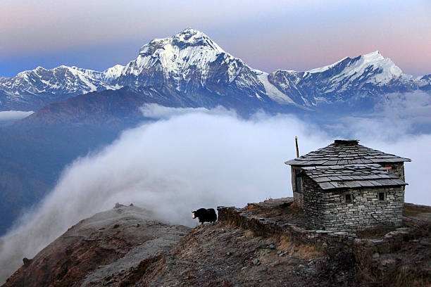 tourhub | Sherpa Expedition Teams | Khopra Ridge Trek 