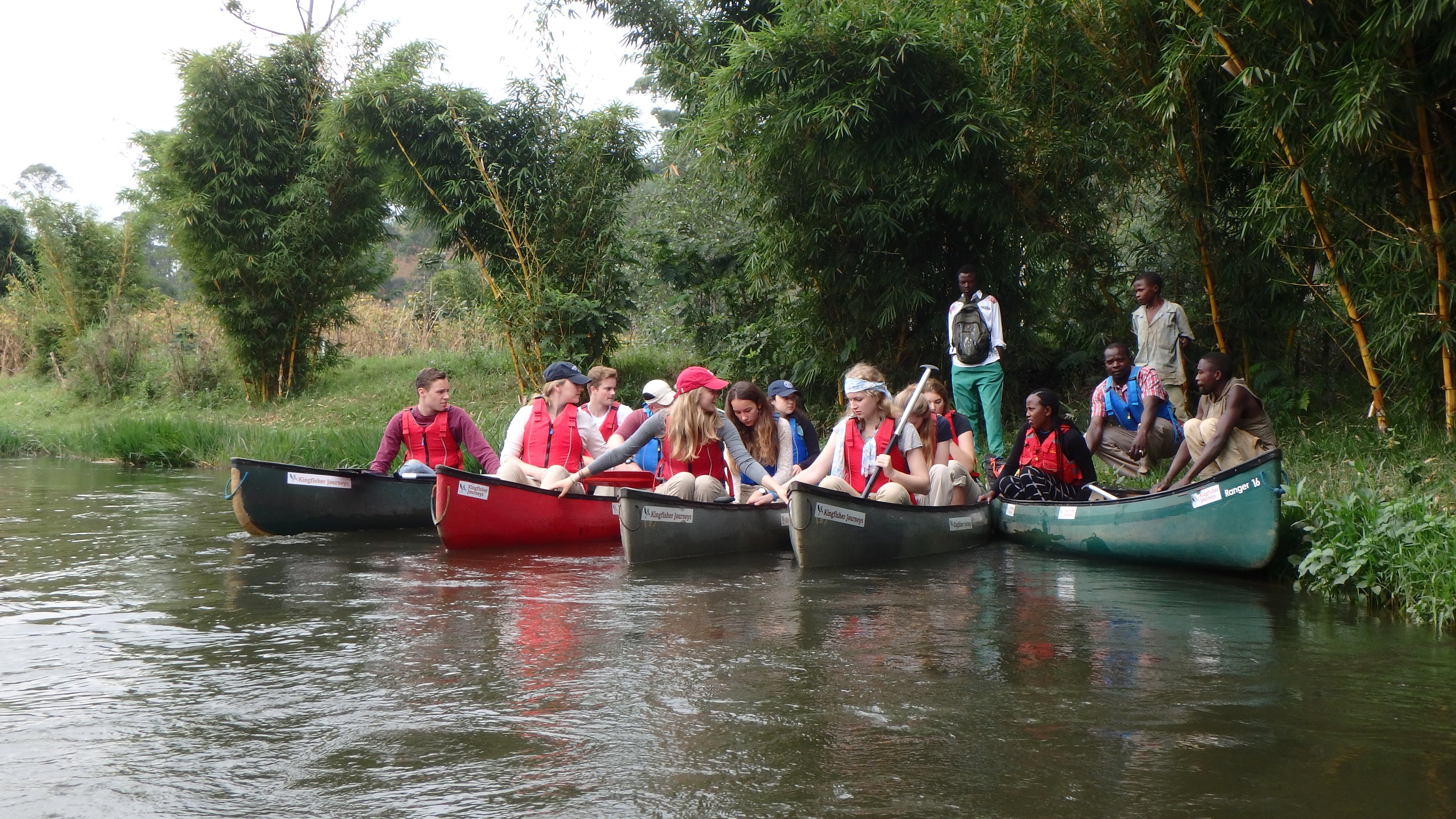 tourhub | Kingfisher Journeys | 2 Days Gorilla & Golden Monkey Trekking 