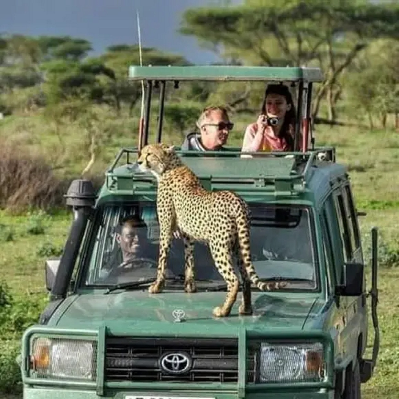 tourhub | Anapa Travel Africa Tours | 8-Day Tanzania Comfort Safari Migration River Crossing and Masai Boma Cultural Tour  Visit. 