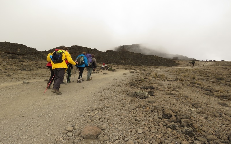 tourhub | Widerange African Safaris | 6 days Machame route Kilimanjaro climbing joining Small group tour package 