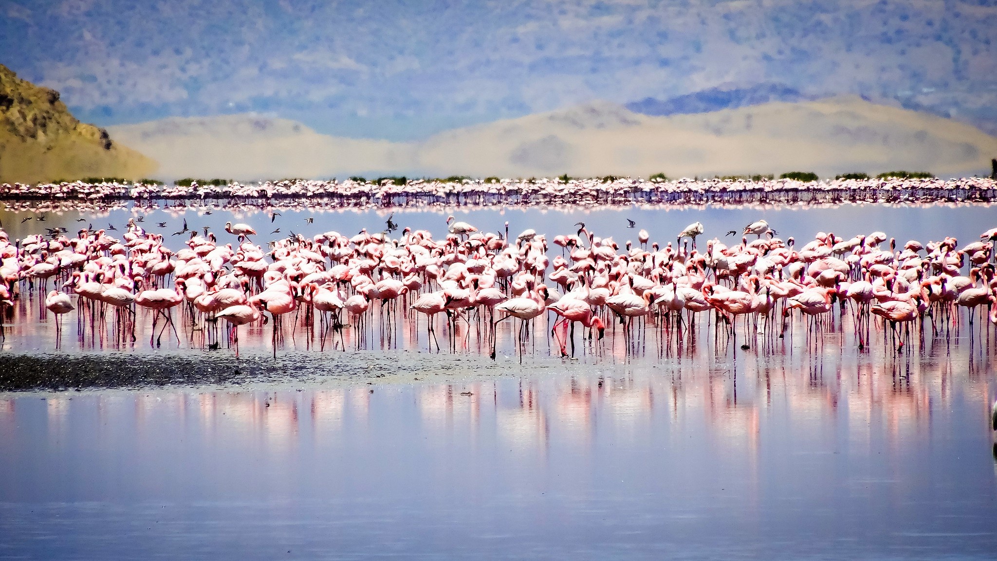 tourhub | Beach and Safari Holidays | Tanzanian Safari Spectacle 