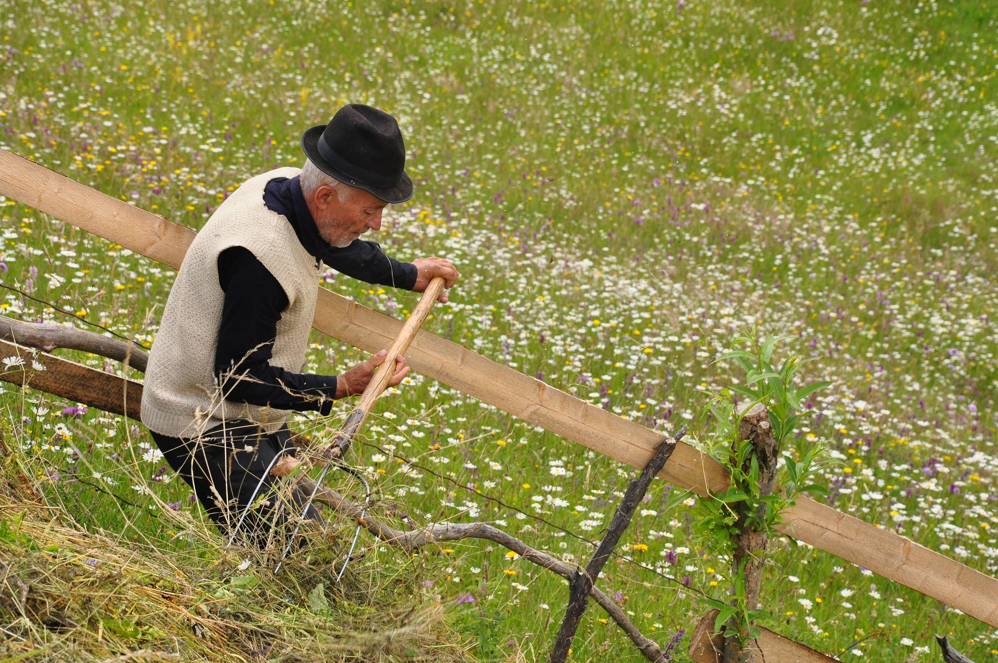 tourhub | Active Travel | Highlights of Romania Private Tour 