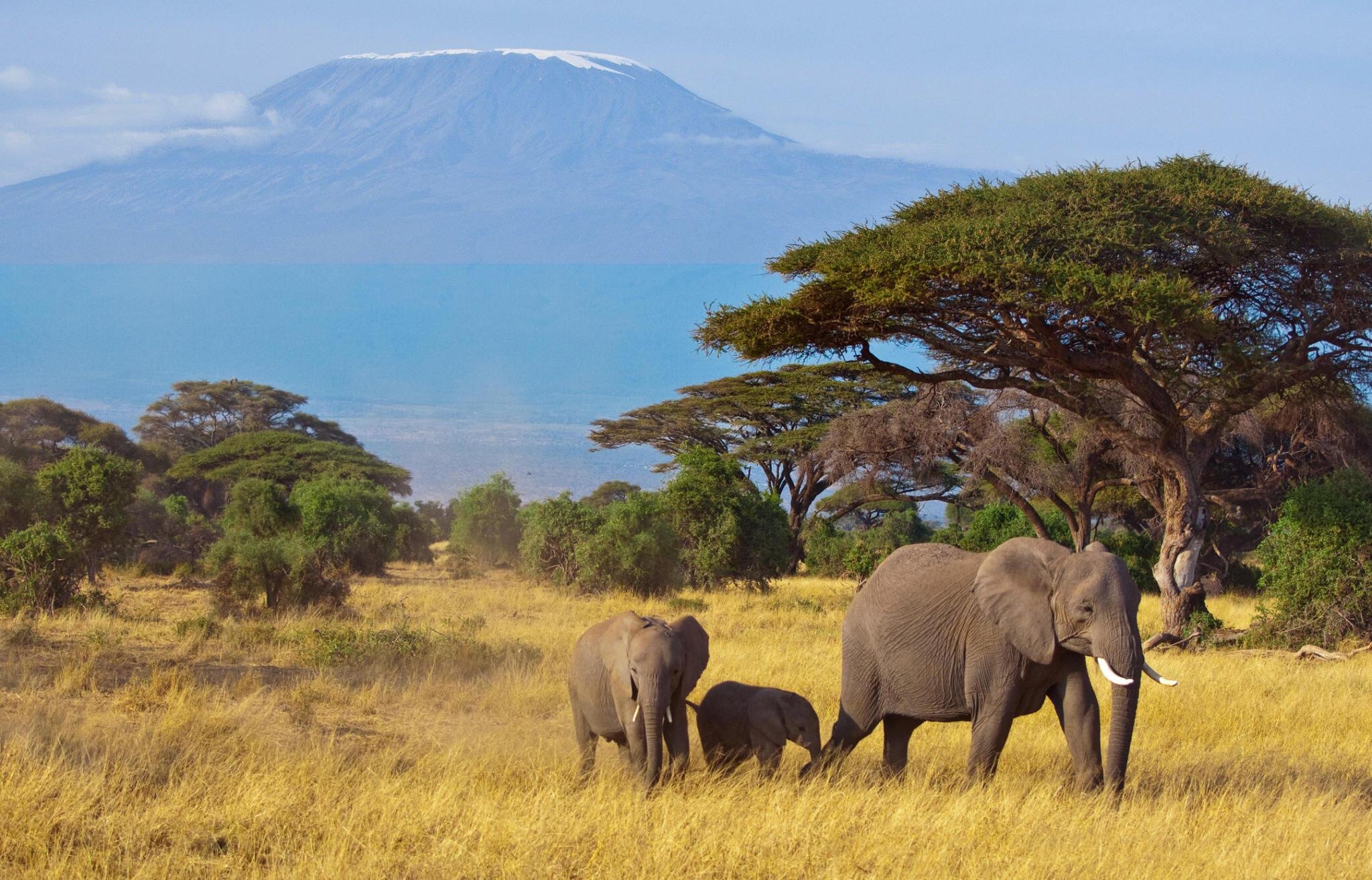 tourhub | Johnbow Tours and Travel | 3 Days Amboseli National Park Safari 