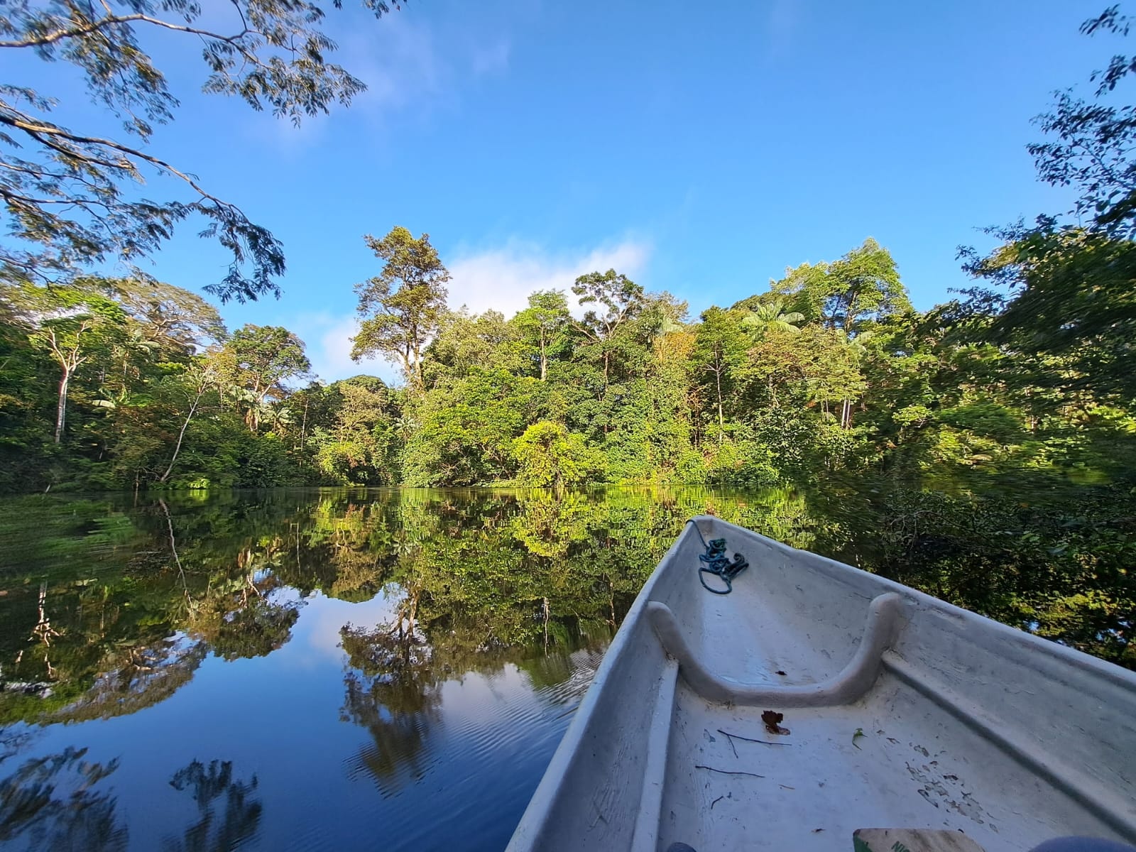 tourhub | Ecuador Galapagos Travels | 12 Days Ecuador’s Greatest Hits: A Bucket-List Adventure 