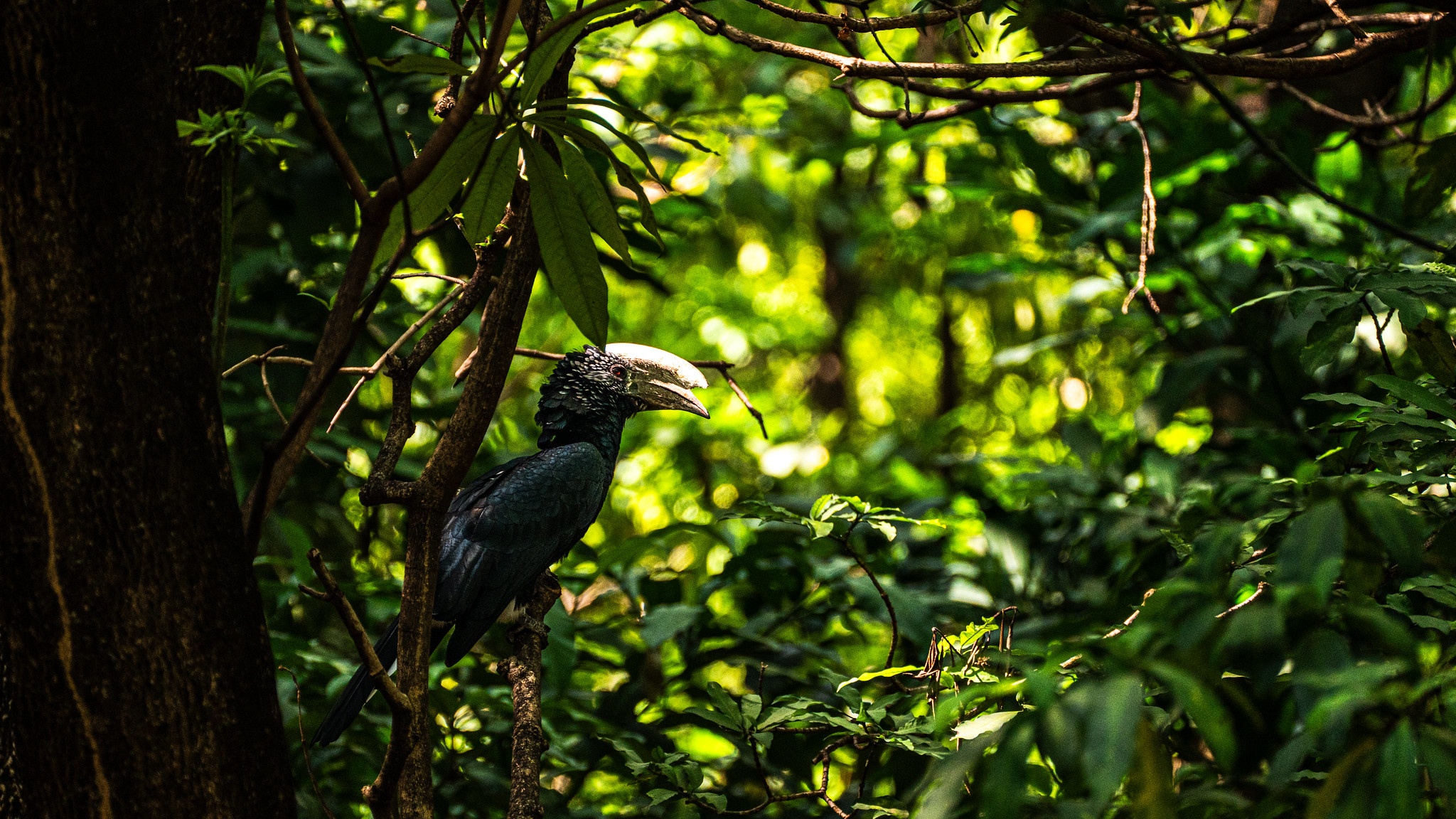 tourhub | Beach and Safari Holidays | Untamed Tanzania: A Journey into the Wild Heart of Africa 