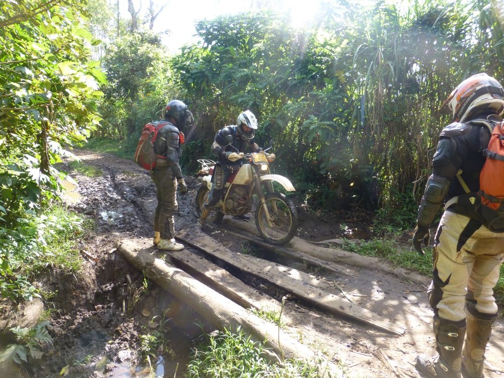 tourhub | Motor Trails | 15 Days Uganda Rwanda Safari Guided Motorcycle Tour 