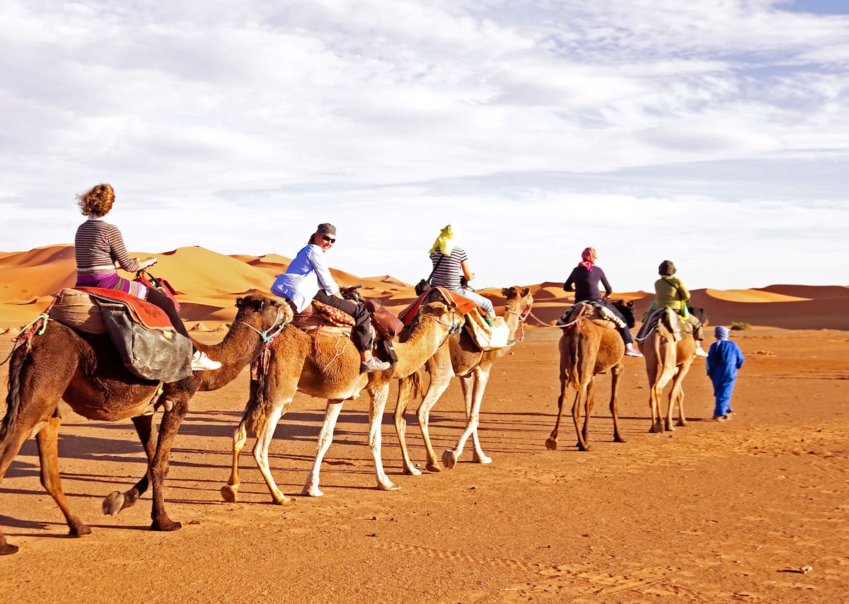 tourhub | Morocco Premium Tours | 7-Day Moroccan Adventure: From Casablanca to Marrakech 