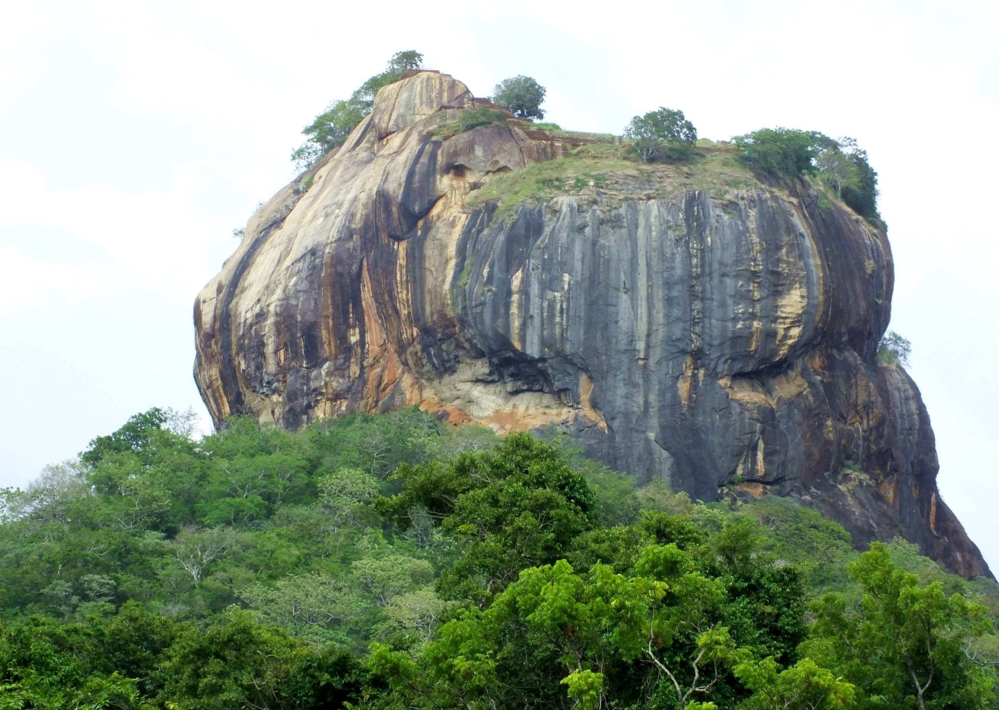 tourhub | King Coconut Holidays | 14 Days Climate Diversity Tour In Sri Lanka 