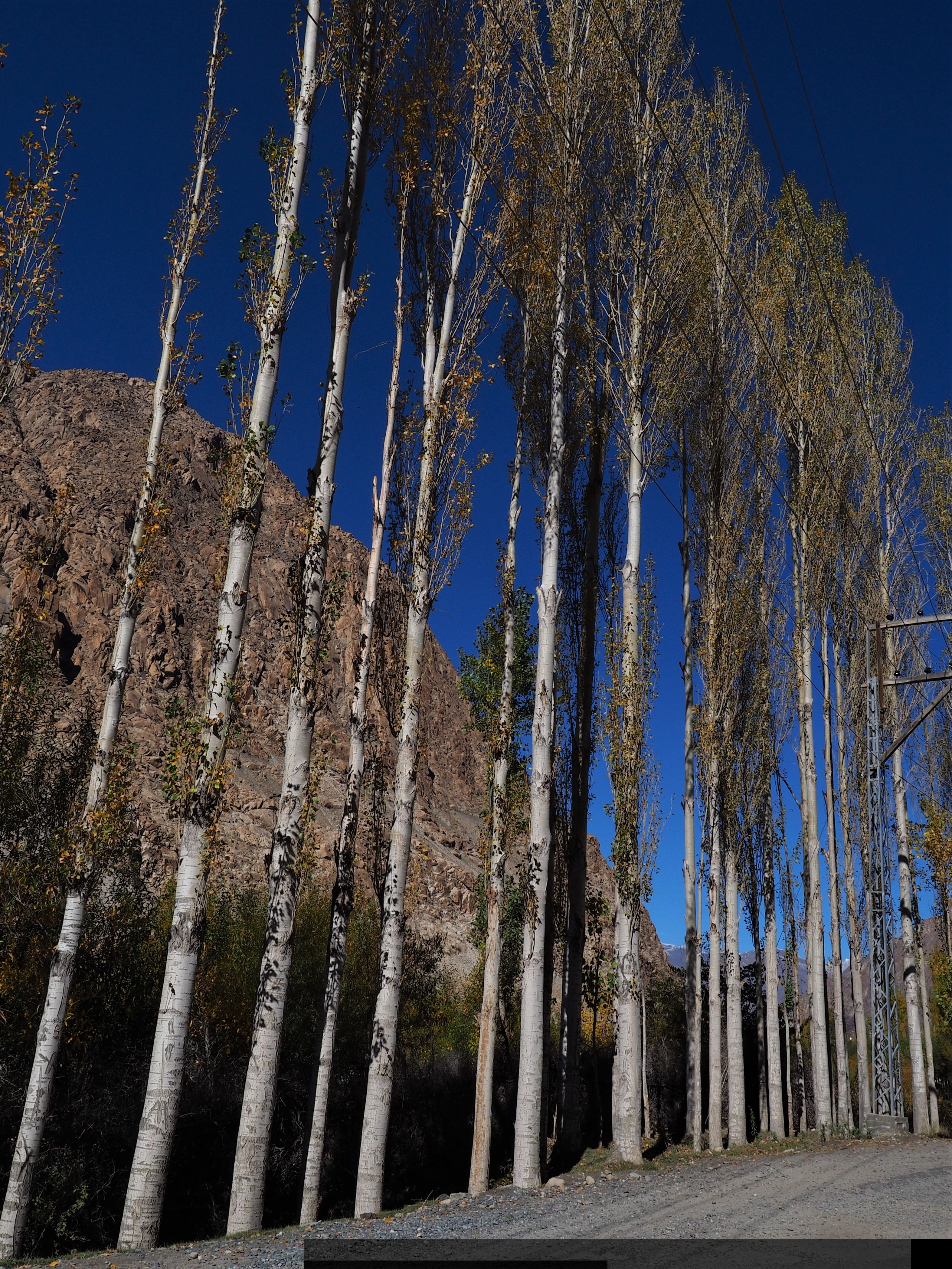 tourhub | Tour Leaders Pakistan | Autumn Special : Hunza Valley –Skardu Region Tour 