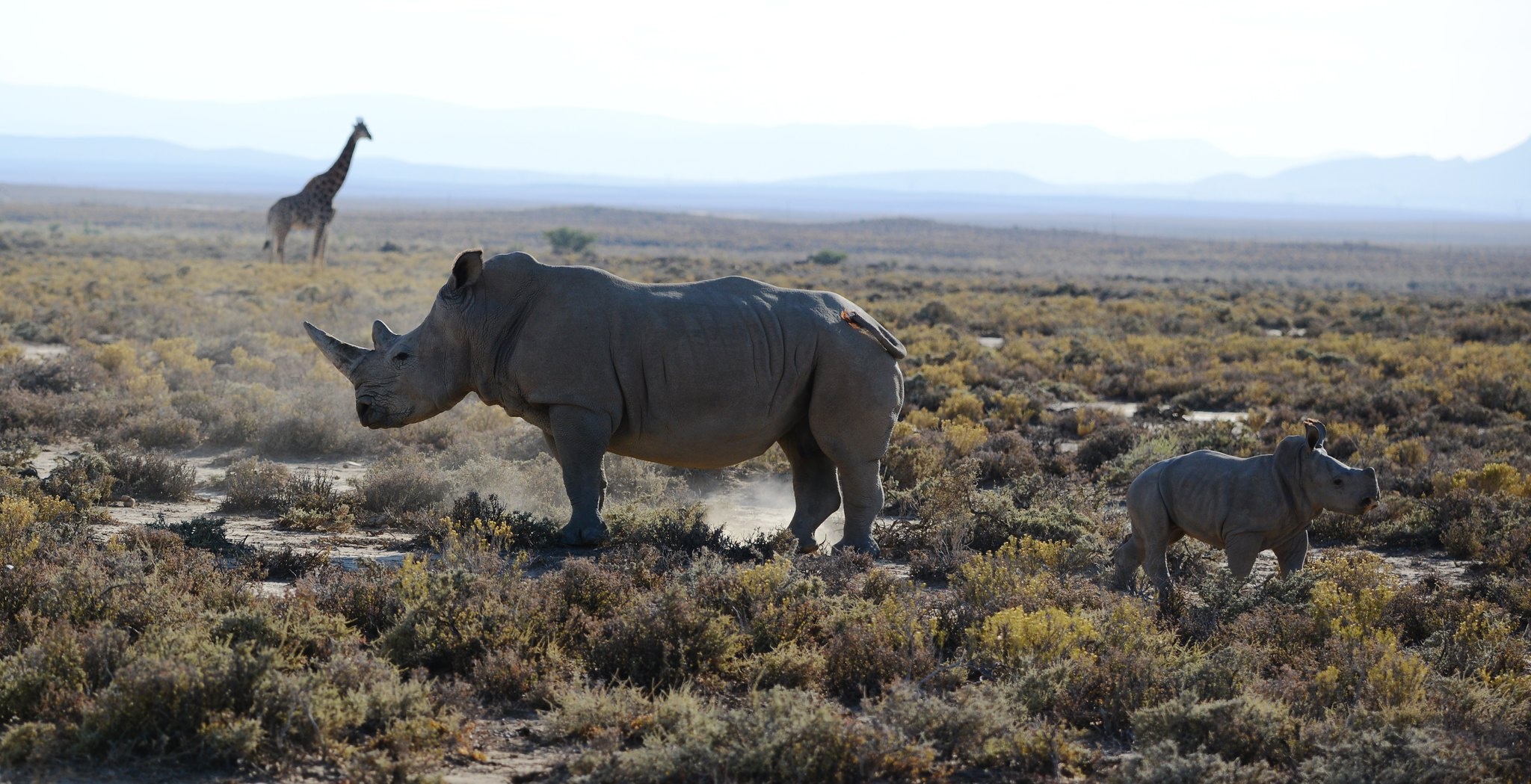 tourhub | Beach and Safari Holidays | Classic Drive Safari Central Northern Circuit 