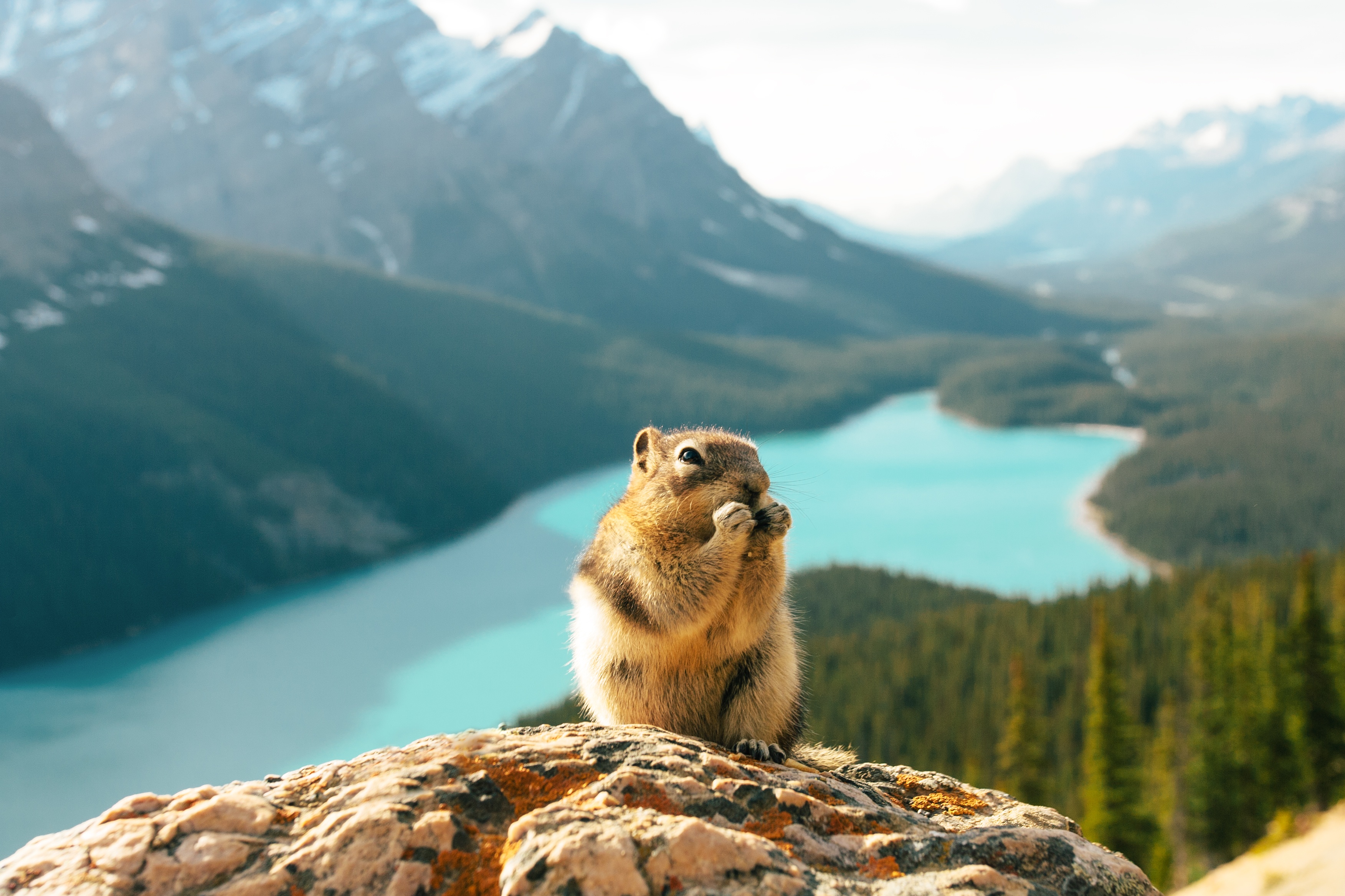 tourhub | Calgary Tours | 6-Day Rocky Mountains Tour: Banff, Jasper, Yoho, Kootenay National Parks with 1 Night at Fairmont Château Lake Louise 