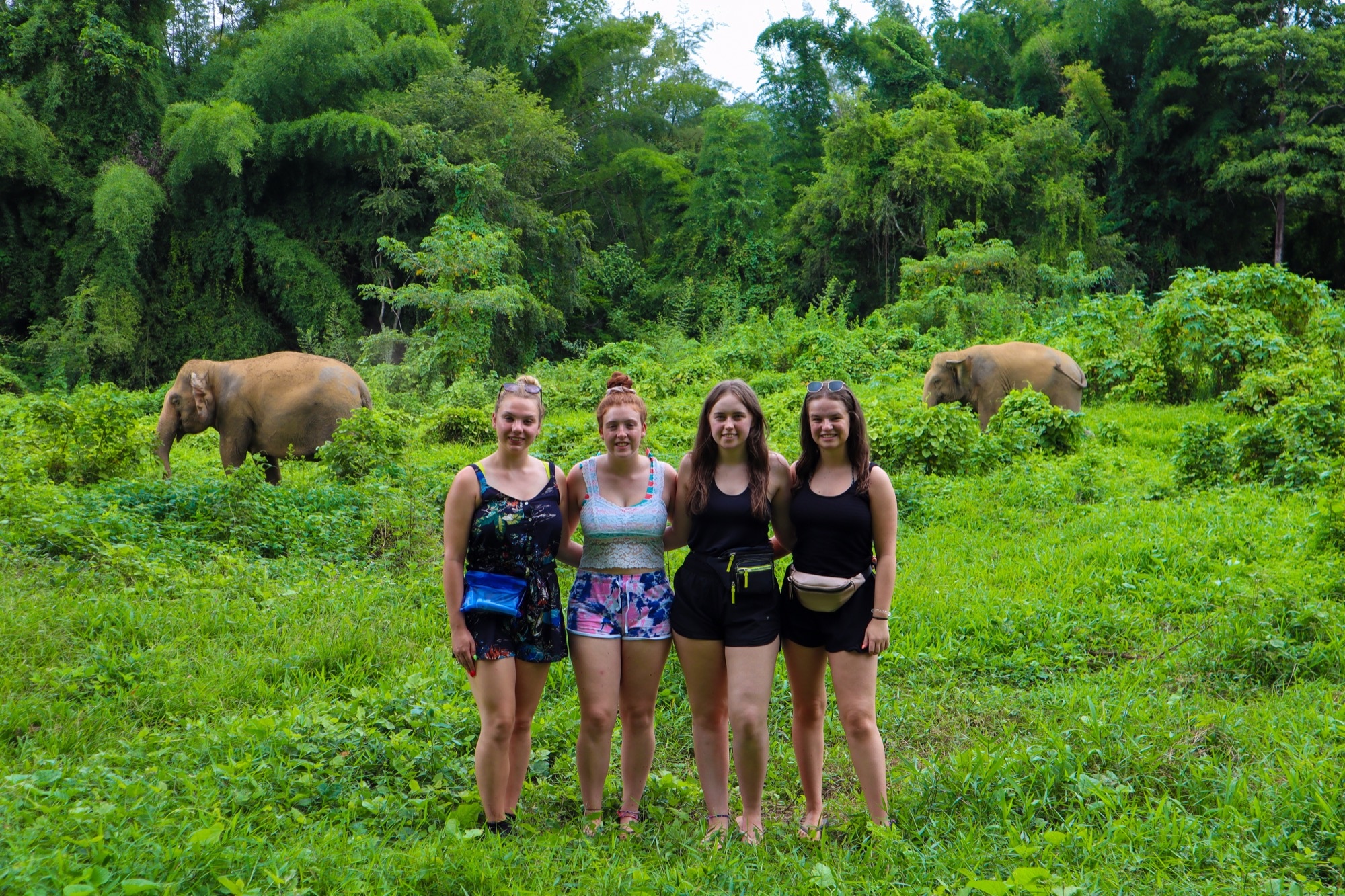 tourhub | Backpacking Tours | Volunteering with Elephants: Thailand 