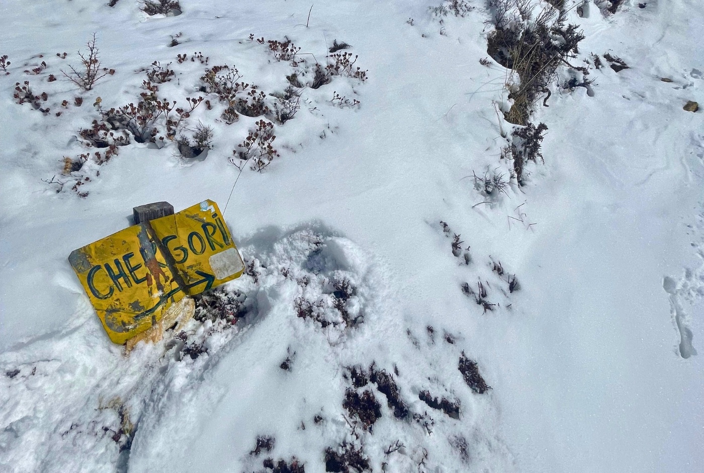 tourhub | Nepal Hiking Team | Langtang Valley Trek 