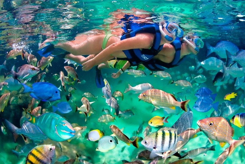 tourhub | Active Bali | Explore Bali: 3-Day Private Tour Designed for Adventurous Families 