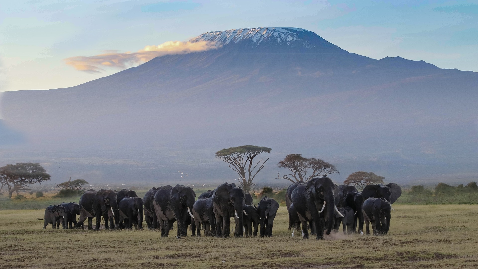 tourhub | Exodus Safaris | 6-Day Best of Kenya Group Wilderness Safari Package 