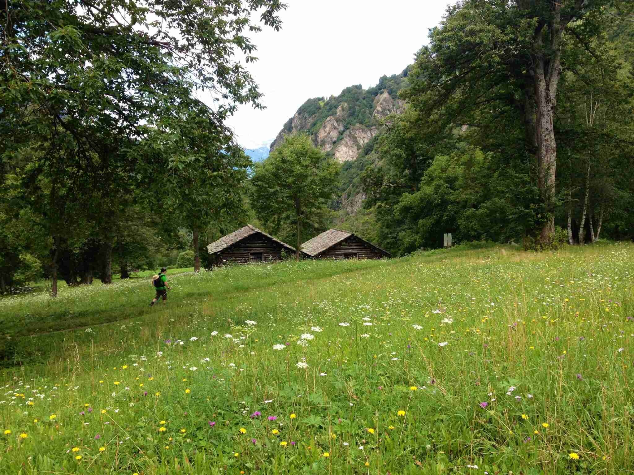 tourhub | The Natural Adventure | Via Bregaglia - Hiking in Swiss and Italian Alps 