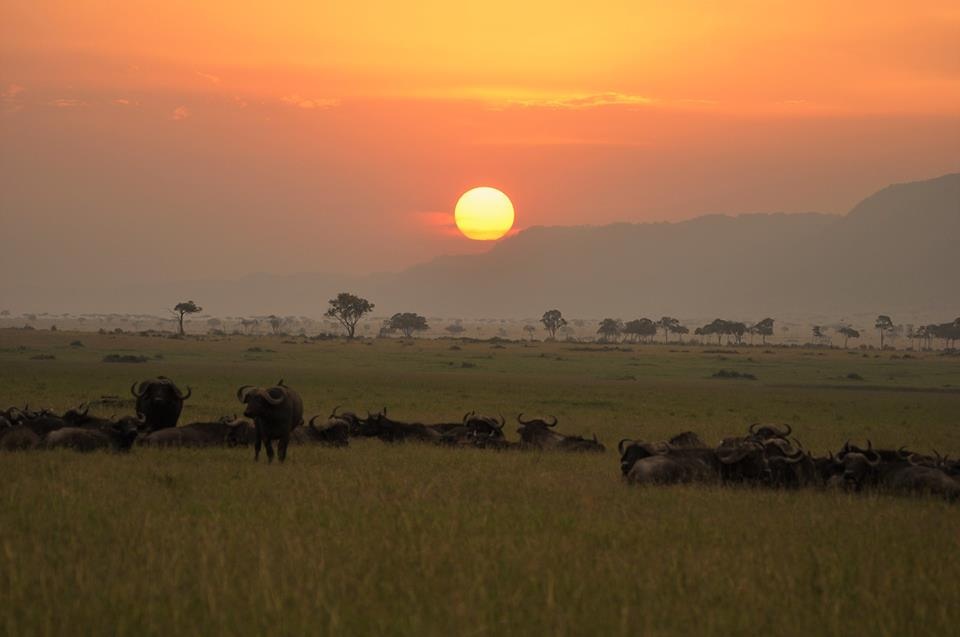 tourhub | Royal Private Safaris | 7 DAYS BEST OF KENYA SAFARI 