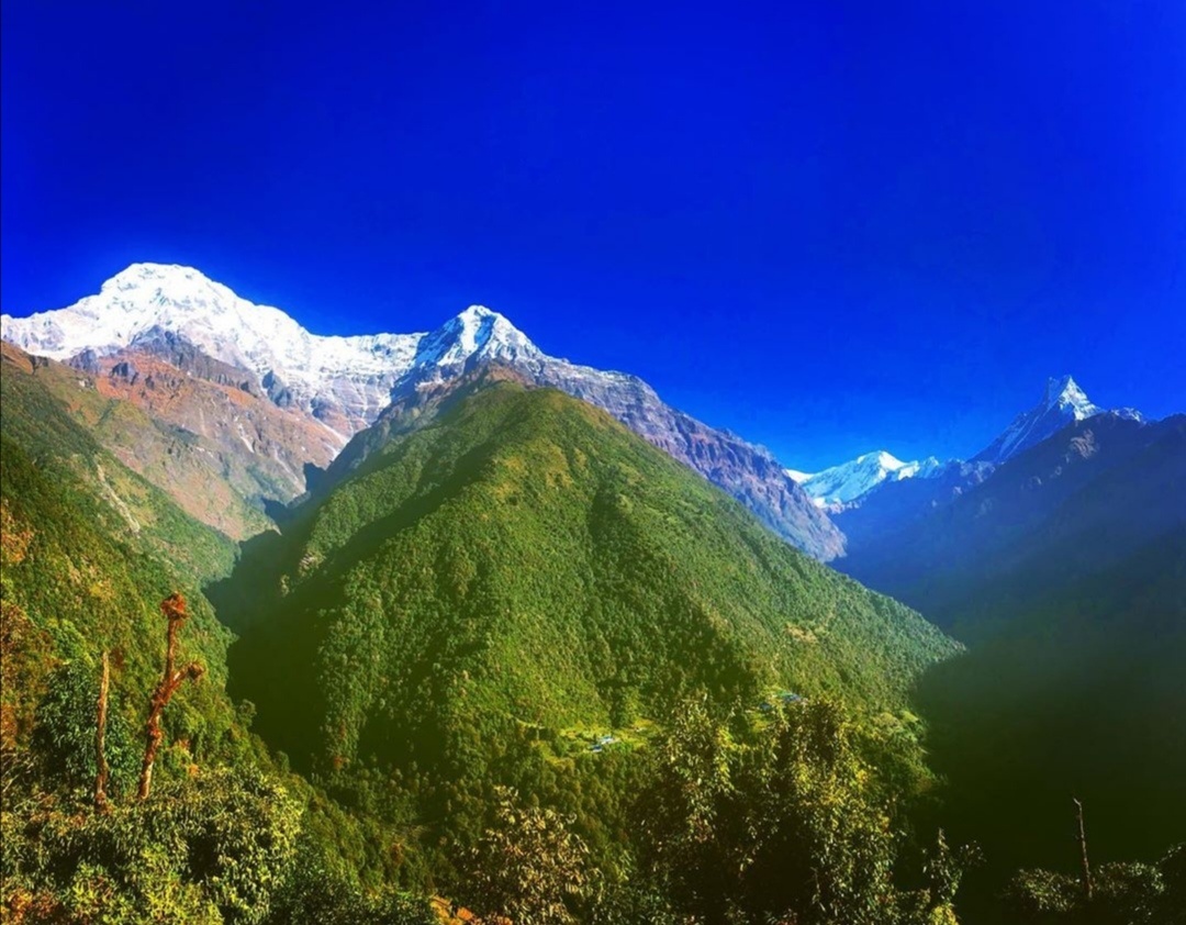 tourhub | Sherpa Expedition Teams | Annapurna Base Camp Trek | UHTATABT14D