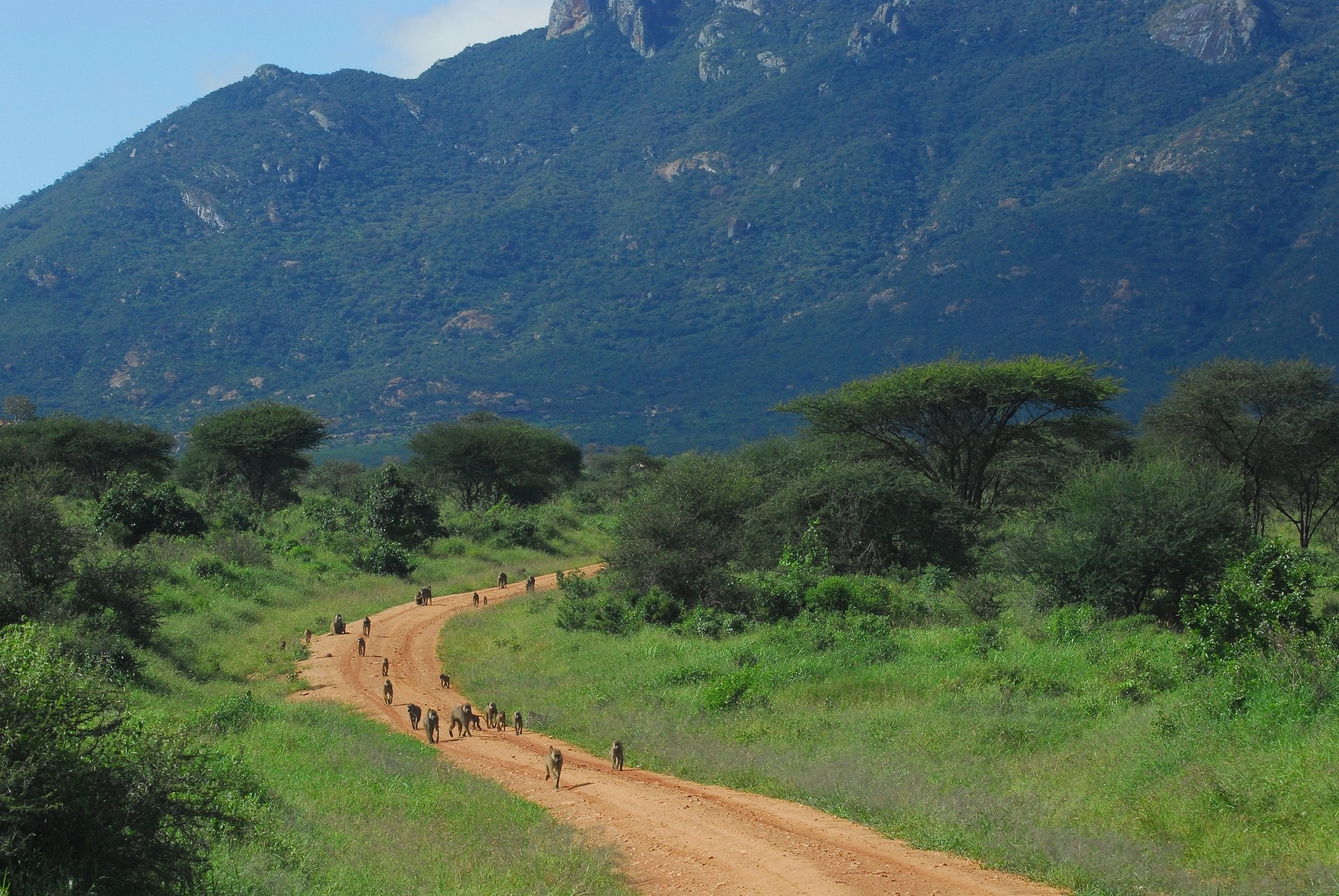 tourhub | Exodus Safaris | 9 Days Budget Kenya Safari – Masai Mara, Naivasha, Amboseli & Tsavo 