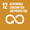 Ensure sustainable consumption and production patterns