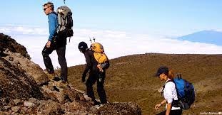 tourhub | Kilimanjaro Habitat Safaris | 8 Days Kilimanjaro Climb Lemosho Route 