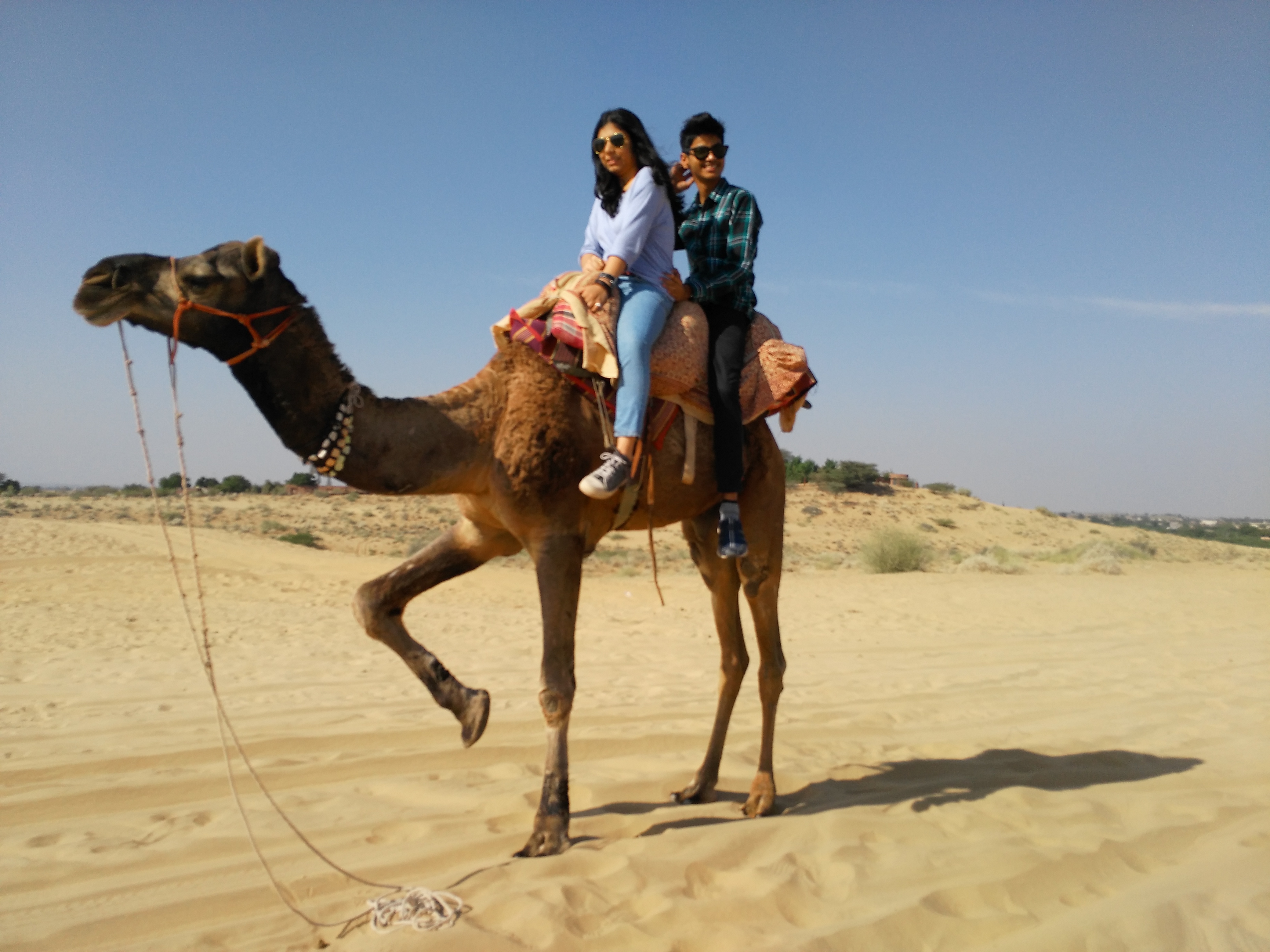 tourhub | Seven Wonder Tour and Travels | Camel Fair with Rajasthan Tour | 10|14NCAMELTOUR
