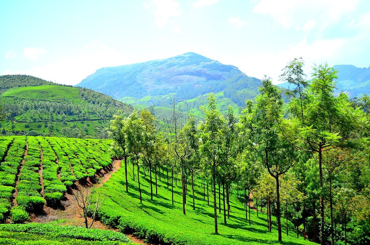 tourhub | Offbeat India Tours | Enchanting Kerala Tour: God’s Own Country 