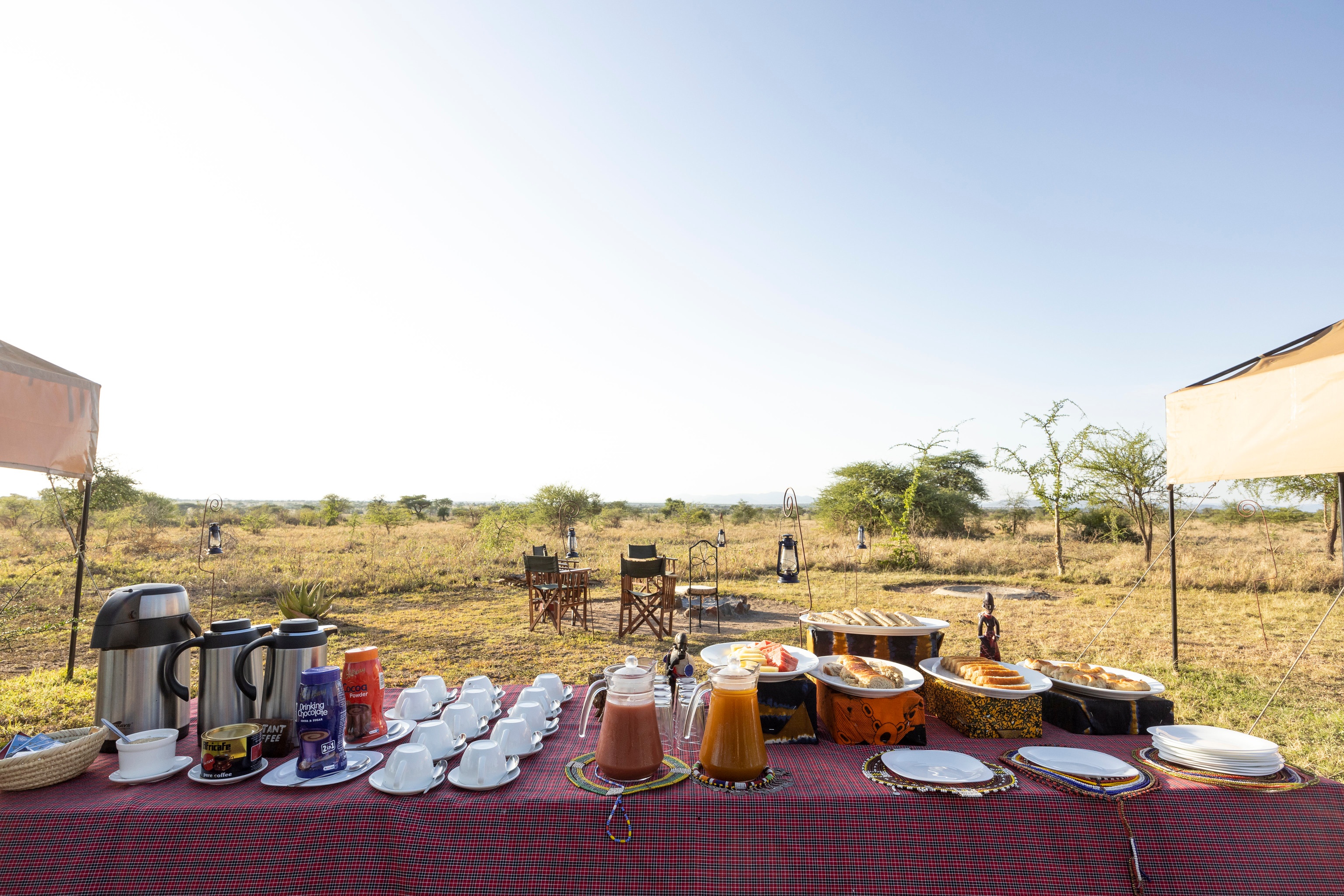 tourhub | Beach and Safari Holidays | From Arusha: Drive and Fly Back Safari Tarangire & Serengeti 