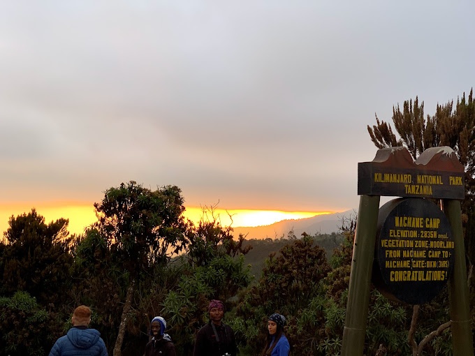 tourhub | Kilimanjaro Habitat Safaris | 7 Days Kilimanjaro Climb Machame Route 