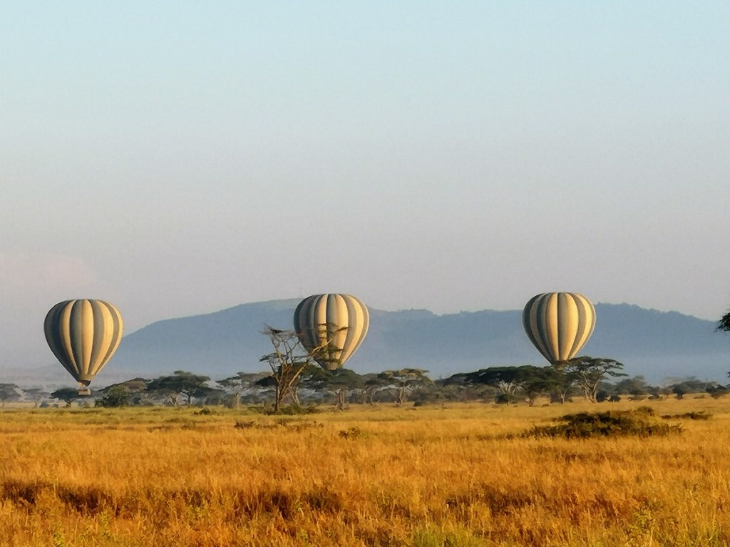 tourhub | Beach and Safari Holidays | From Zanzibar: 4-Day Serengeti game drive, night drive, safari 